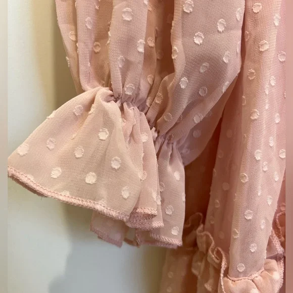 Dusty Pink Swiss Dot Mini Dress with Ruffles – Size Large - Picture 5 of 15